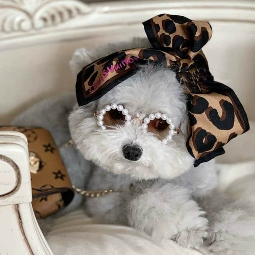 Трендовые ретро солнцезащитные очки, аксессуар, кошачий глаз