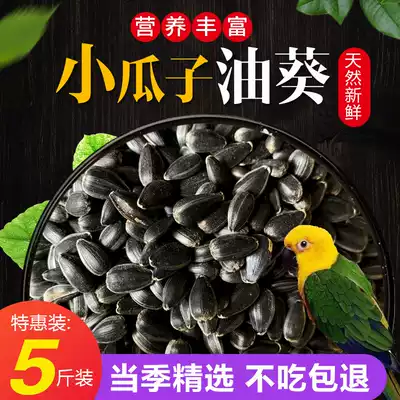 Raw Black Pearl small melon seed sunflower seed sunflower seed bird food hamster snack bird food pigeon grain 5kg