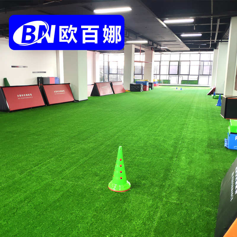 O 100 Na Emulation Lawn Outdoor Football Ground Body Fitness Playground Artificial Lawn Outdoor Greenery Sunscreen Fake Turf-Taobao