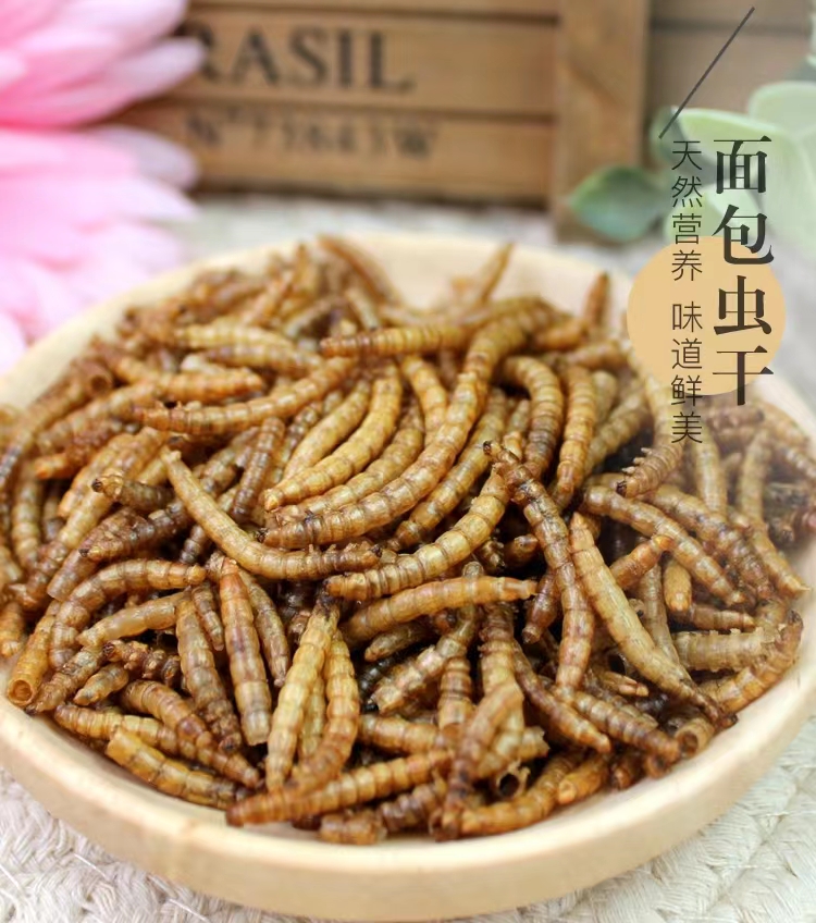 30 dried mealworm hamster golden bear snacks small pet mealworm dry supplement nutritional protein