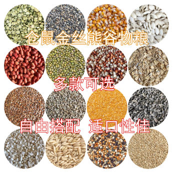 Hamster golden bear nutrition self-prepared grain feed snack small pet five grain staple food accompanying grain grass seed millet seed grain