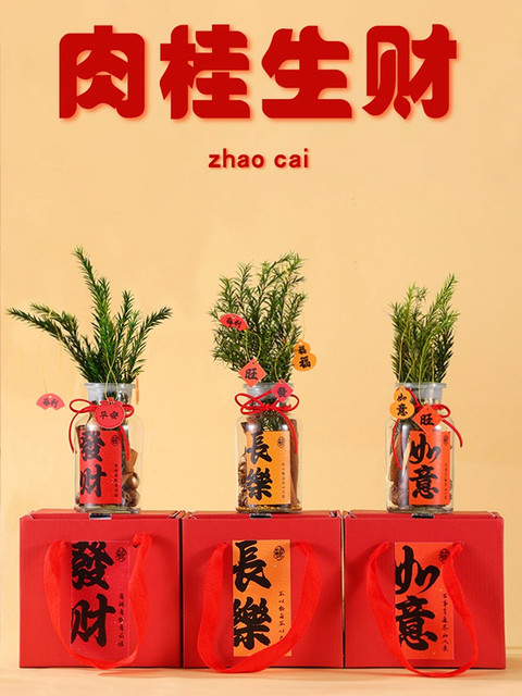 Cinnamon Brings Wealth DIY Ornament Glass Bottle Dried Flowers Flameless Aromatherapy Wealth-Attracting Housewarming Gift for Moving, Opening a Business, or Birthday