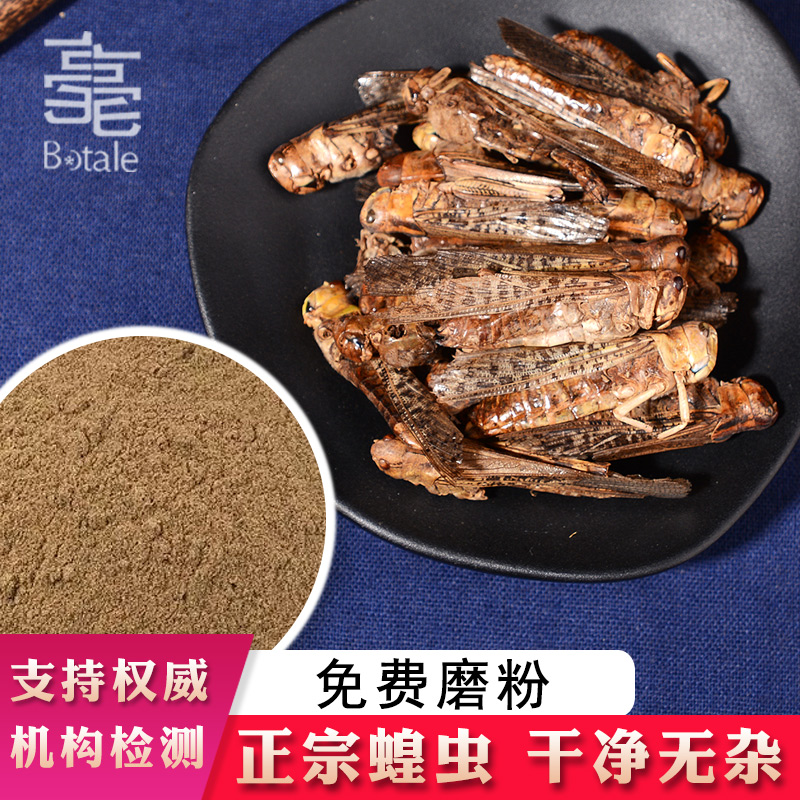 Chinese medicine locust dry grasshopper dry bulk 500 new cargo without salt