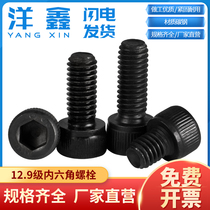 12 9 grade hexagon socket Bolt high strength screw cylindrical head Cup head hexagon socket black screw M2M3M4