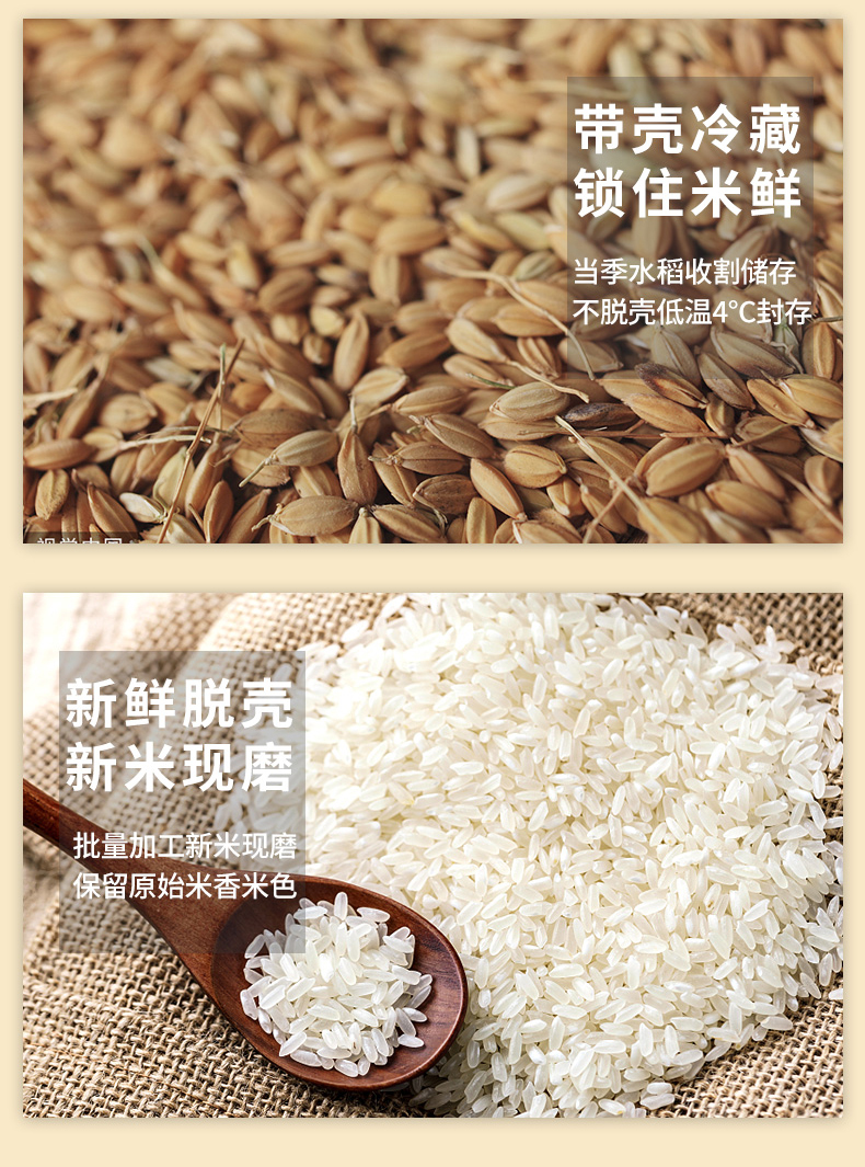 燕迎春 五常长粒香大米10斤 图3