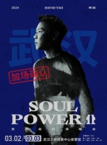2024 Tao Zhe SoulPowerll Wuhan tour concert Tao Zhe Wuhan Foshan концертные билеты