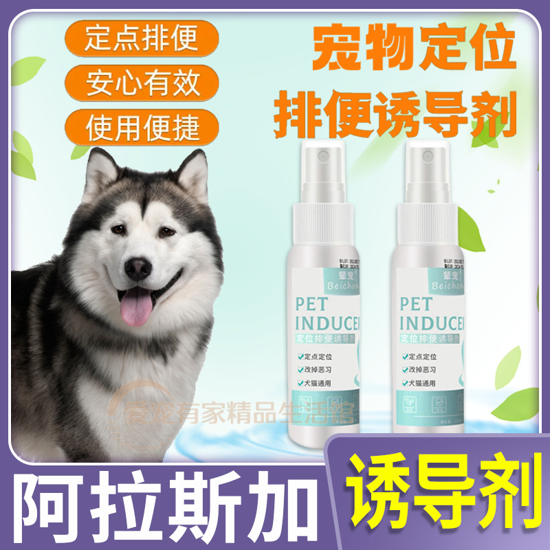 Alaska Exclusive Pet Pooch Inducers Dog Defecation to Toilet Pinpoint Defecation Training for Toilet Bowl