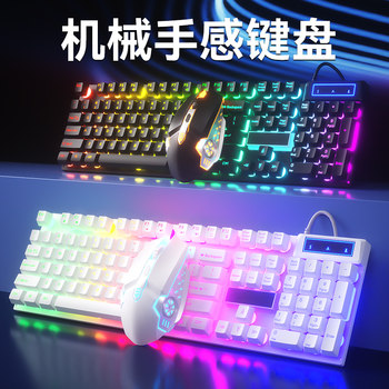 Mechanical Feel Wired Keyboard and Mouse Set for Laptop, External Silent Gaming Keyboard for Typing