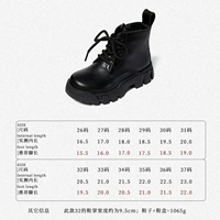 228221 Суматра