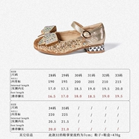 218157 Элегантное золото шампанского