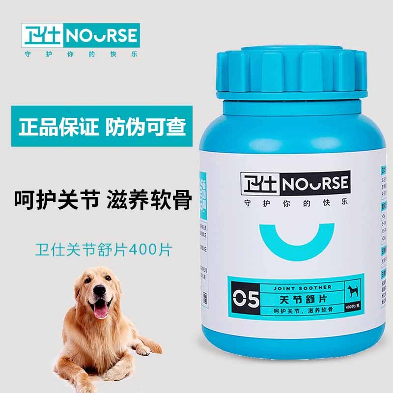 Pet pooch joint repair teddy gold wool dog with lumbar cervical spine crawling with eight words after jumping off the back leg powerless