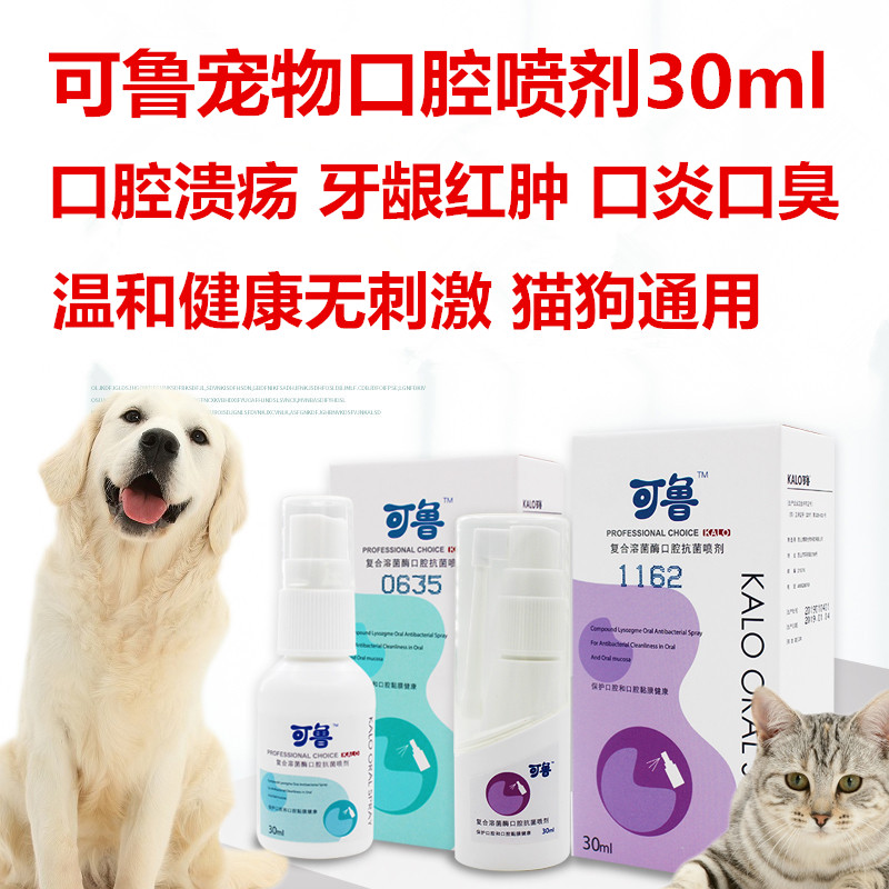 Pet mouth inflammation cleaning dog cat stomatitis drooling cat dog dog remove bad breath oral ulcerative gingivitis redness and swelling