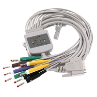 Банан подключен к 4,0 европейскому стандарту (внутренняя рекомендация) (отдельная линия лидеров)