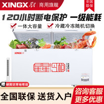 XINGX Stars BD BC-528GE Commercial Large Capacity Frozen Refrigerated Preservation Horizontal Single Temperature Energy Saving Freezer