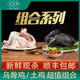 Baishixuan authentic black-footed hens, native chickens, freshly killed, suitable for braised