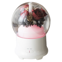 Manyue diy everlasting flower aromatherapy machine humidifier colorful night light aromatherapy machine empty flower stand flower material