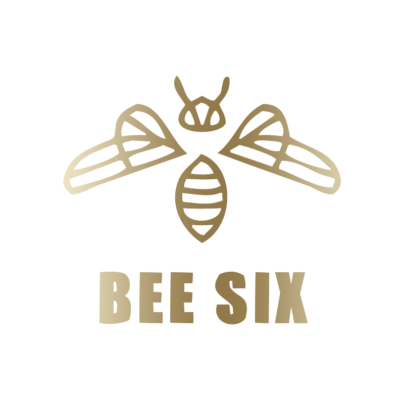 BEE SIX 高定轻奢女鞋的LOGO