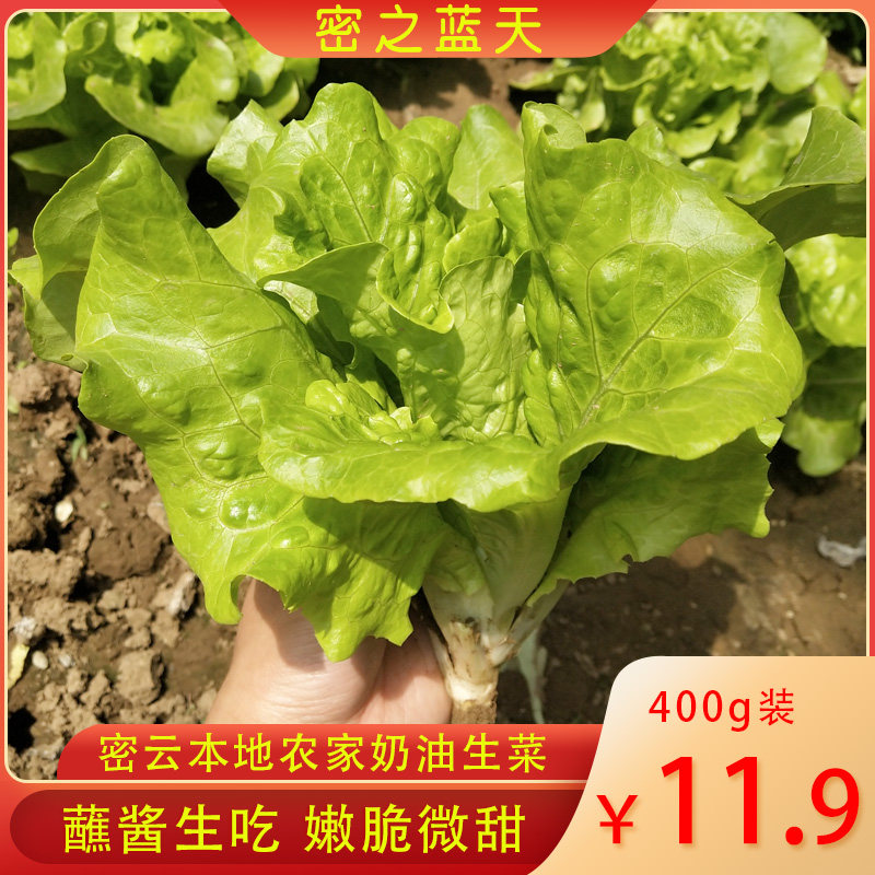 Dense Clouds Local Fresh Vegetables Cream Raw Vegetable Tender Leaf Vegetable Dip Sauce Vegetable Vegetable Salad Ingredients Crisp 400g Now pluccled