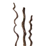 Восхождение на пейзаж для пейзажа для животных виноградных виноградных лоз