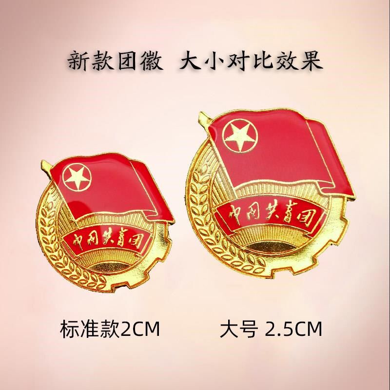Chinese group emblem Communist Youth League students with standard 2020 magnet group member badge pin large badge butterfly buckle