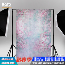 Picture Oil Painting Background Retro Photography Pets Photographic Studio Architecture Photo Oil Canvas