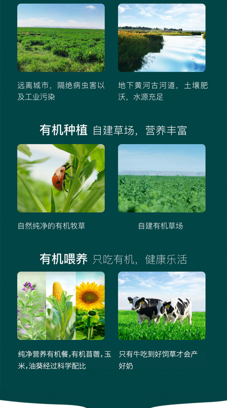 安享好物 安享A级纯奶-圣牧高钙 有机纯牛奶 国标 
