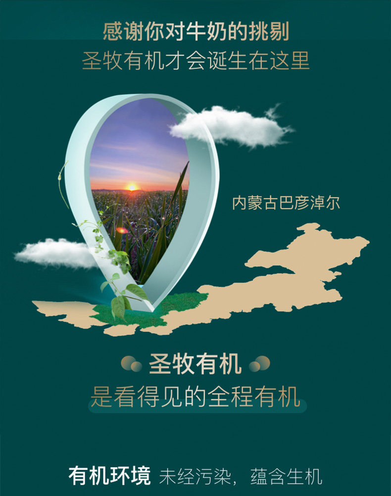 安享好物 安享A级纯奶-圣牧高钙 有机纯牛奶 国标 