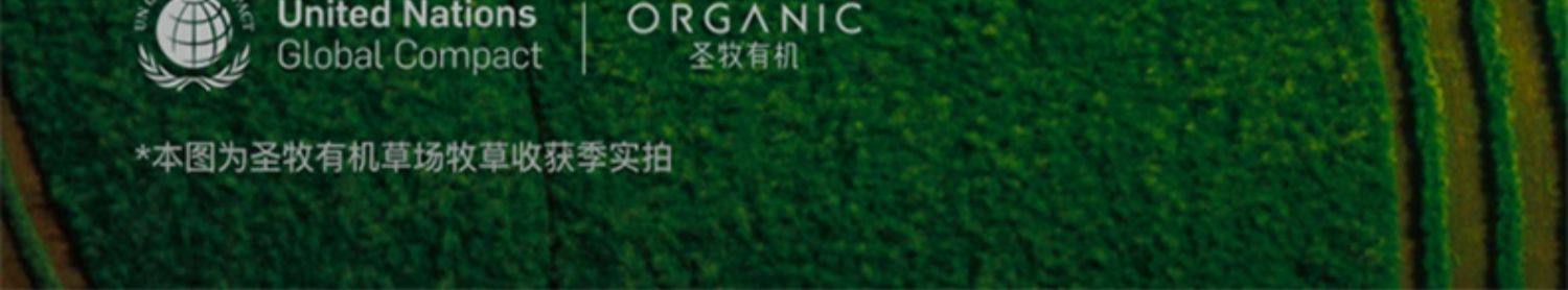 安享好物 安享A级纯奶-圣牧A2 有机纯牛奶 国标