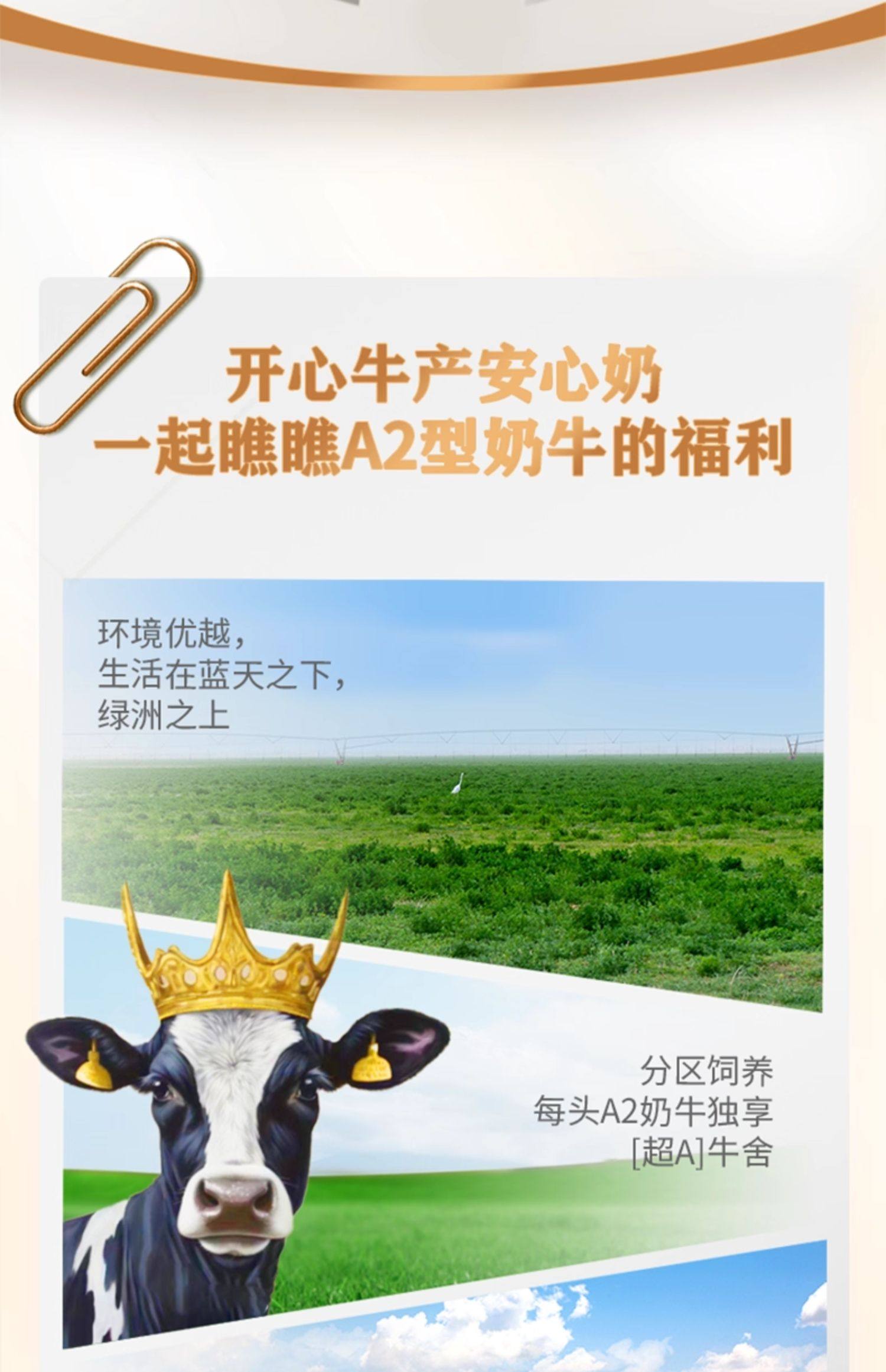 安享好物 安享A级纯奶-圣牧A2 有机纯牛奶 国标