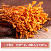 Cordyceps flower dry 500 CTE wild spore head selected Cordyceps mushroom soup ingredients