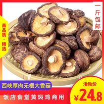 New goods large mushrooms thick mushrooms 24 8 yuan 500 grams Xixia rootless dried mushrooms bulk yellow braised chicken commercial