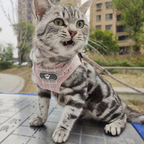 Kitty Traction Rope Anti-Escape Walking Cat Rope Vest Type Slip Cat Rope Cat Chain Kitty Special Cat Rope Cat Traction