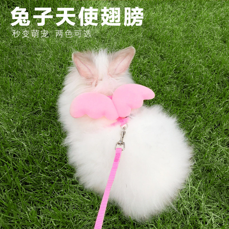 Rabbit traction rope, rabbit rope, anti-breakaway vest, small rabbit walking artifact, rabbit chain, rope, rabbit supplies