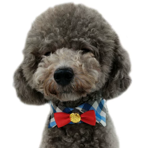 Шарф, слюнявчик, шейный платок, аксессуар