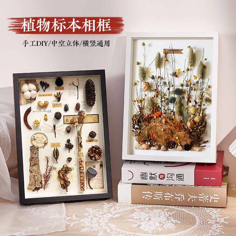 蝴蝶标本新手入门必备：完美保存自然之美，练手必备神器✨