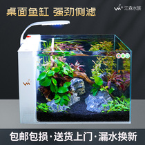 Ultra white glass Small fish tank Home Desktop Living room bedroom Creative Leisure Ecology Free water Side Water filtration family Box