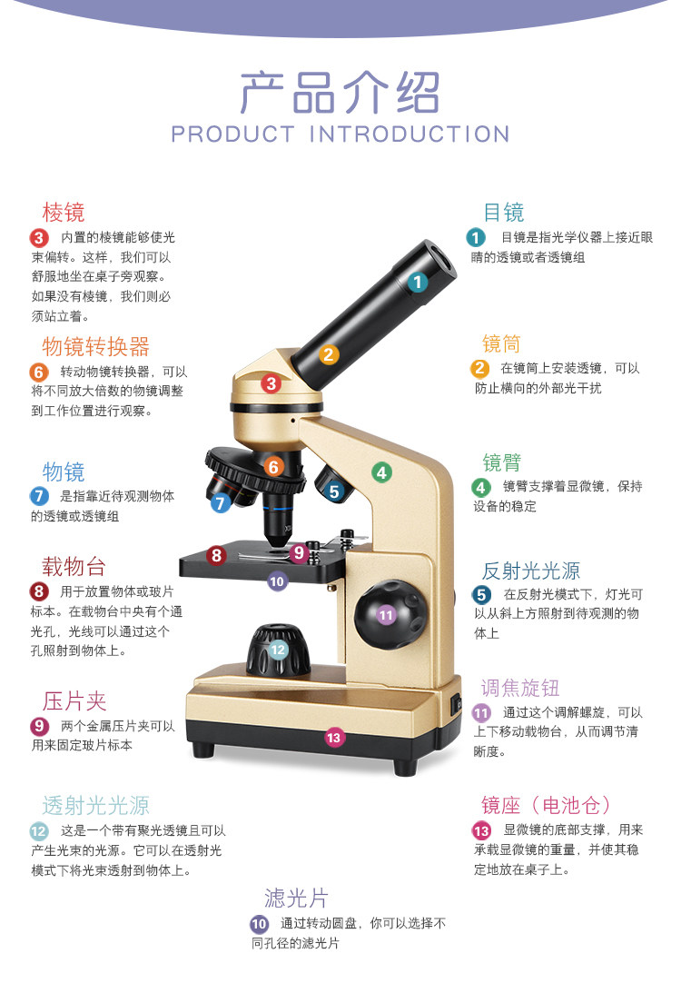 Exploring Kid 探索小子 儿童显微镜 1200倍 图5