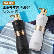 Gold seaweed shampoo liquid Anti-dandruff anti-itching oil control shampoo Long-lasting fragrance for men and women shampoo cream wash and care set