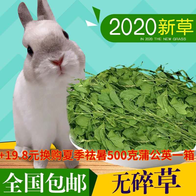 Purple Flower Clover Grass Hay Hay Feed Young Rabbit Rabbit Grass Dragon Cat Grass Dutch Pig Grass Grass Grain Pasture Grass Rabbit Grain Clog Grass