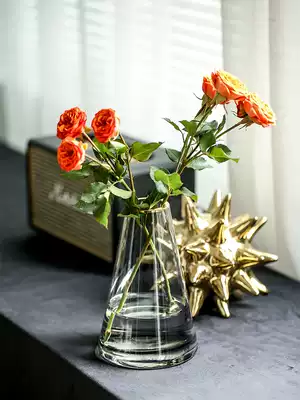 Vase ornaments living room flower arrangement transparent glass large Nordic creative simple modern light luxury home decoration gold