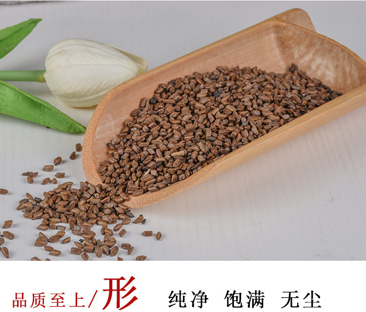 Кассия Seed_05.jpg