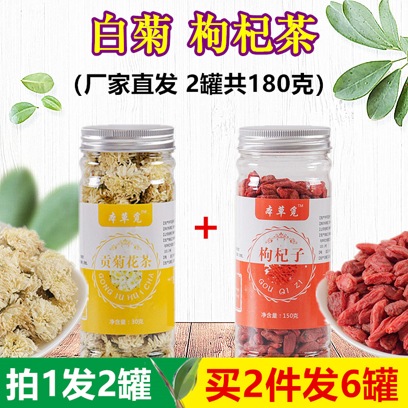 White Chrysanthemum Medlar Tea Gonchamomile Large White Chrysanthemum and Garberry Composition Conformation Canned Men And Women Bubble Water Tea Drinking