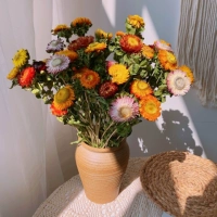 Юньнани сушеные цветы настоящая цветочная пшеница соломенная хризантема хризантема маленькая ромашка букет стреляет в реквизит