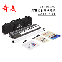 Chimei 37-key full music mouth organ organ students beginner classroom teaching professional performance instrument dubbing ruler