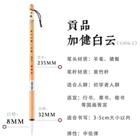 Дань Jiajian xiaobaiyun G016-3