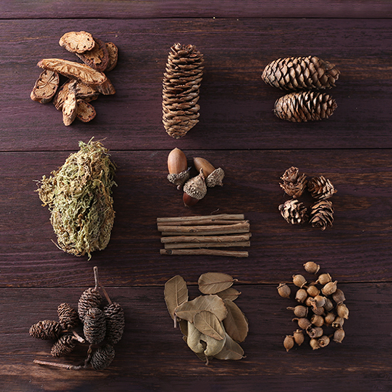 Son Ensemble Retro Photo Props Women Handmade DIY Materials Bag Small Dried Fruits Natural Microscape Small Twigs Leaf Photography