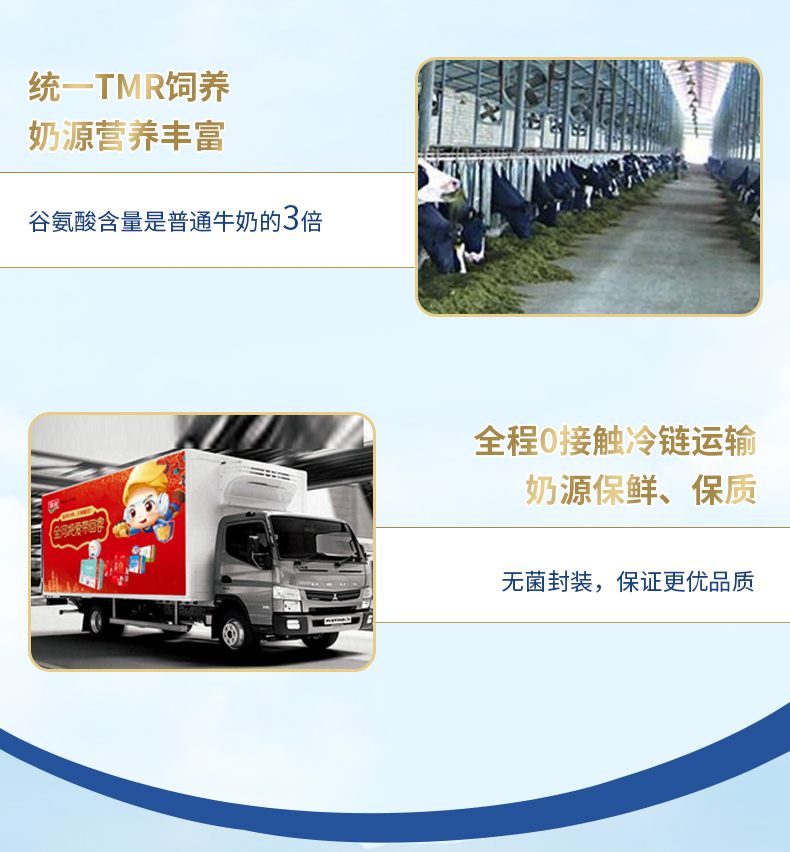 金河奶啤 300ml*6罐装 乳酸菌发酵啤酒风味饮品 图6