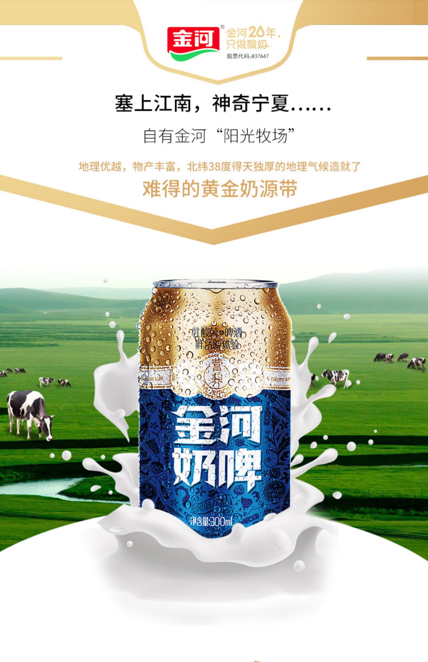 【金河】网红乳酸菌奶啤300ml*6罐