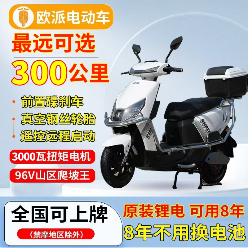 Electric Motorcycle 96V High-Power Climbing King Electric Vehicle 72V High-Speed Ultra-Long Range 300Km Electric Bike