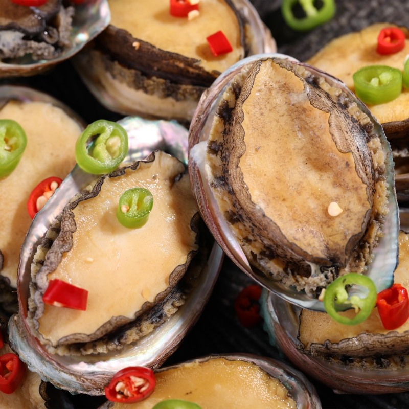 Abalone Fresh Extra Large 20-pack Ready-to-eat abalone Fresh Small abalone seafood cooked frozen abalone offal